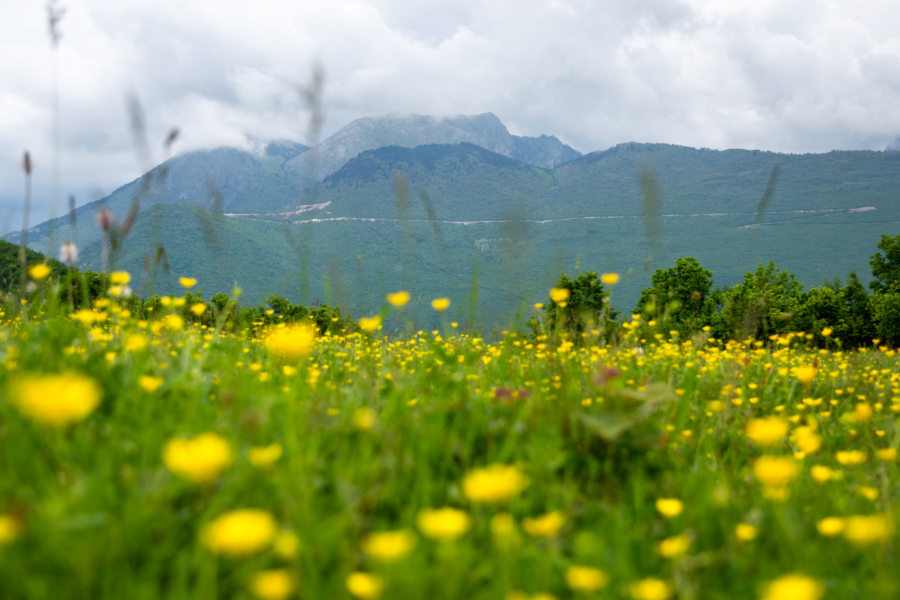 Randonnée à Peja, montagne au Kosovo