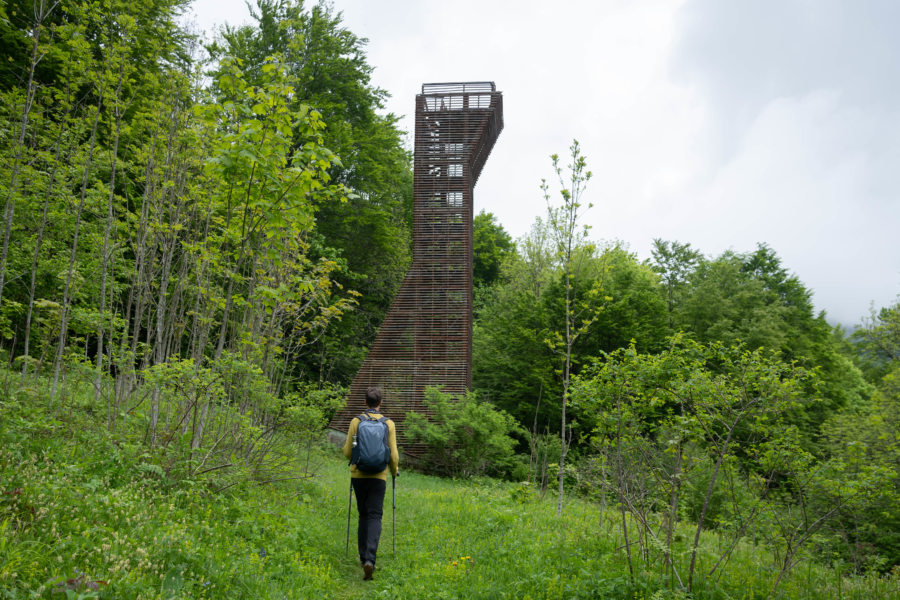 Tour d'observation au-dessus du lac de Biogradska Gora au Monténégro