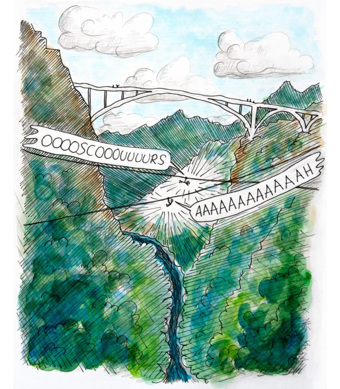 Dessin : Tara Bridge