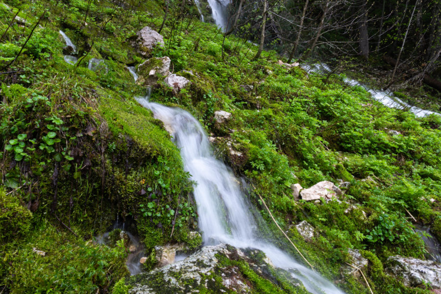 Cascade autour du lac noir du Durmitor, Monténégro