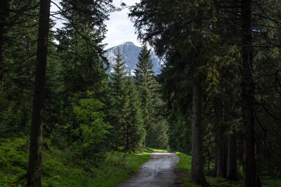 Chemin à l'arrivée au lac noir, Durmitor