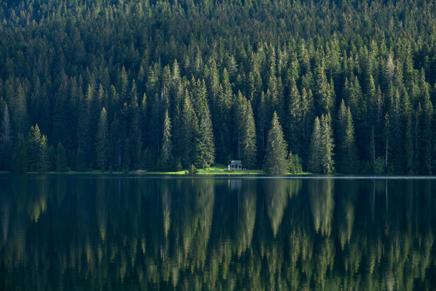 Crno Jezero, reflet sur le lac noir au Monténégro