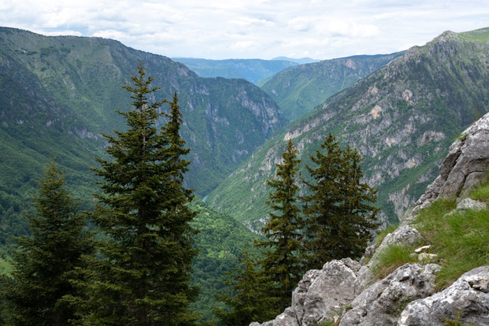 Point de vue de Curevac sur le canyon de Tara au Durmitor