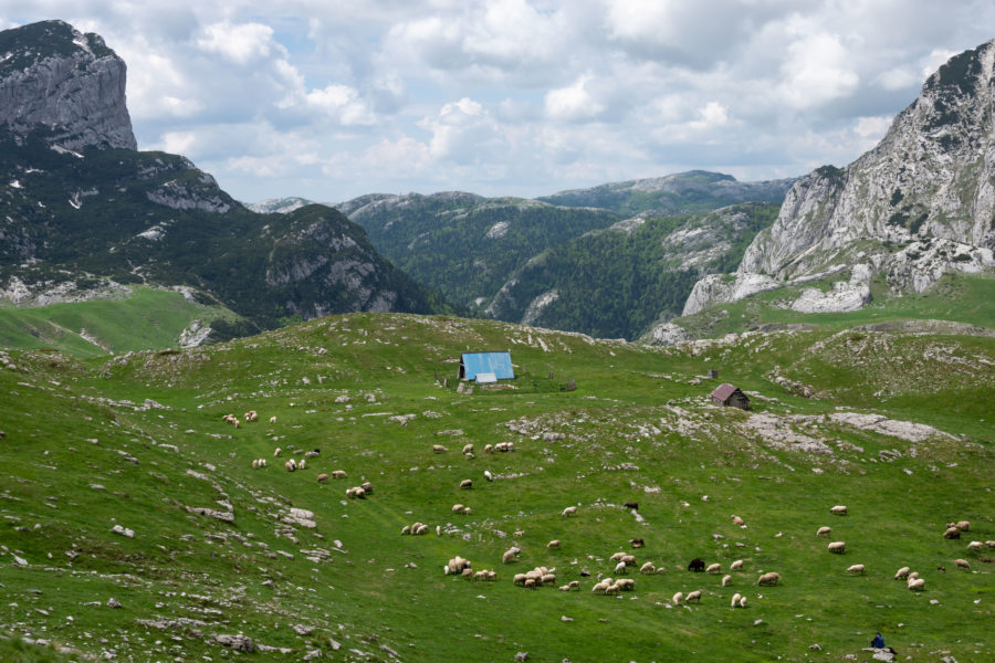 Montagnes du Monténégro au Durmitor