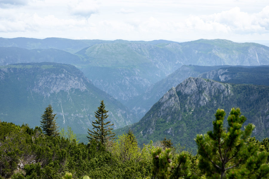 Vue sur le canyon de Tara depuis le Durmitor ring au Monténégro