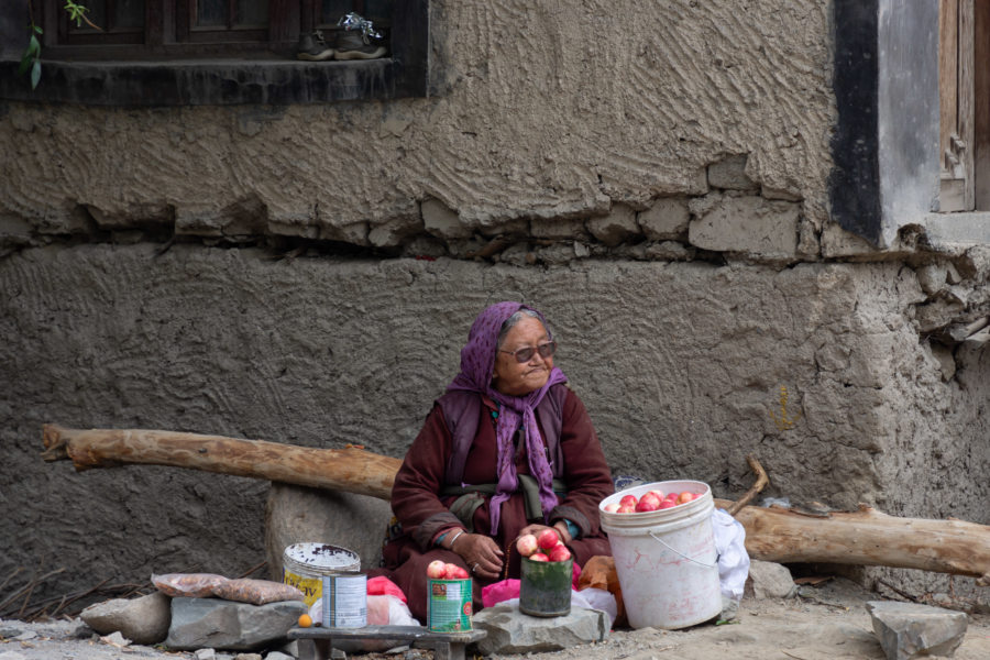 Vendeuse de pommes au Ladakh en Inde