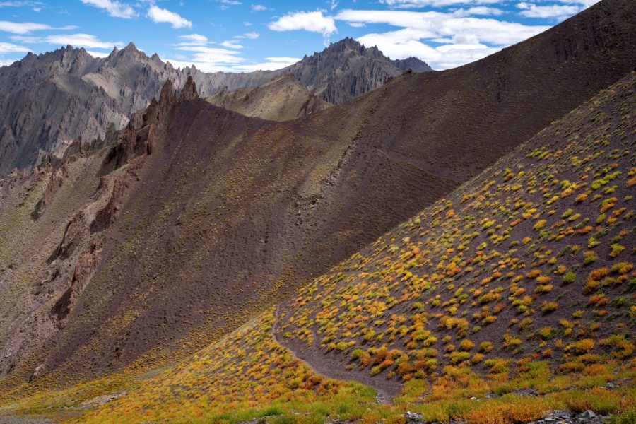 Montagnes de l'Himalaya orange à l'automne, trek de Rumbak à Stok