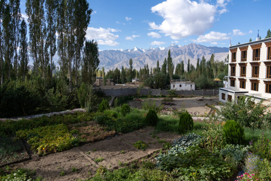 Hotel du Ladakh avec son potager à Leh