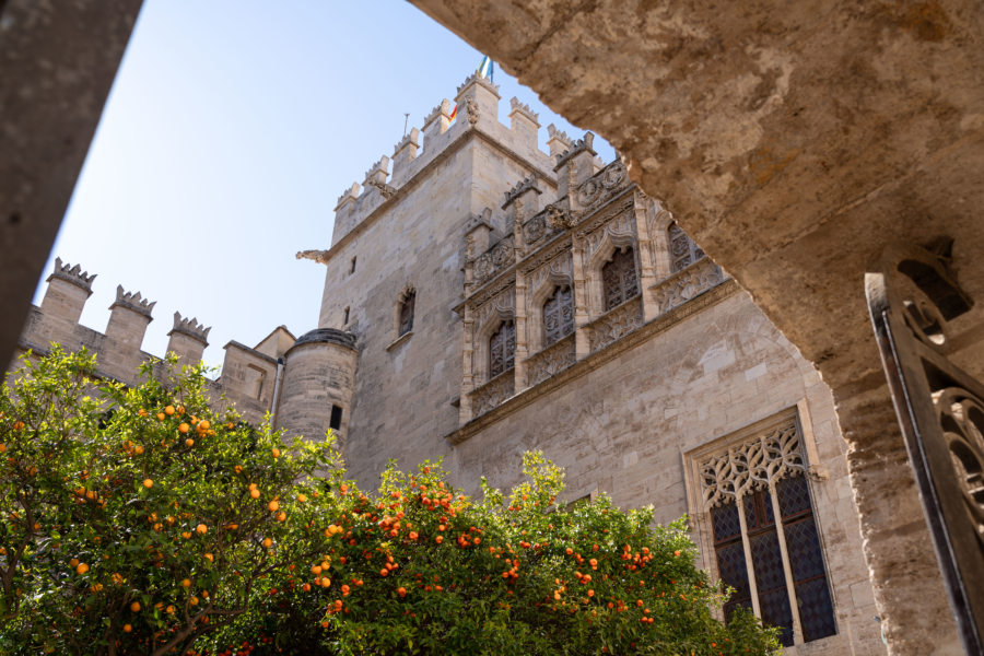 Visite de la Lonja de la seda à Valence