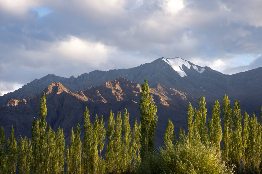 Montagnes du Ladakh, l'Himalaya l'été