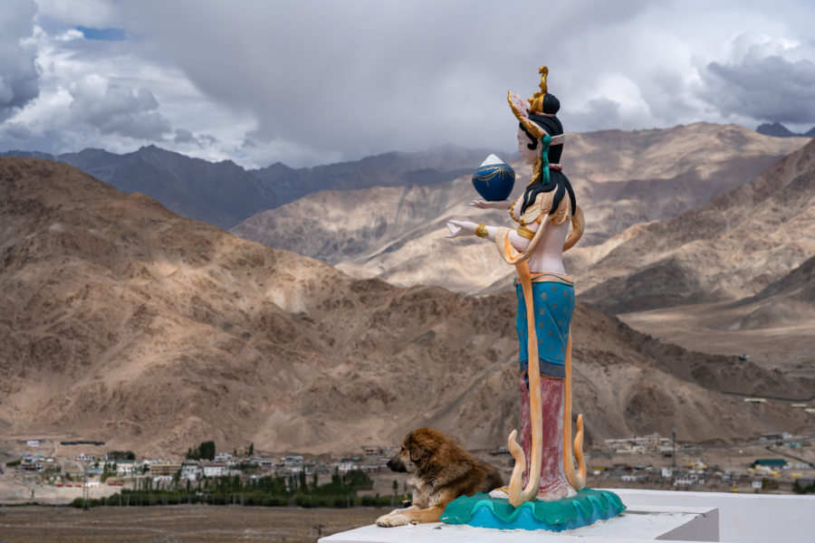 Stupa sous Hemis, statue et chien