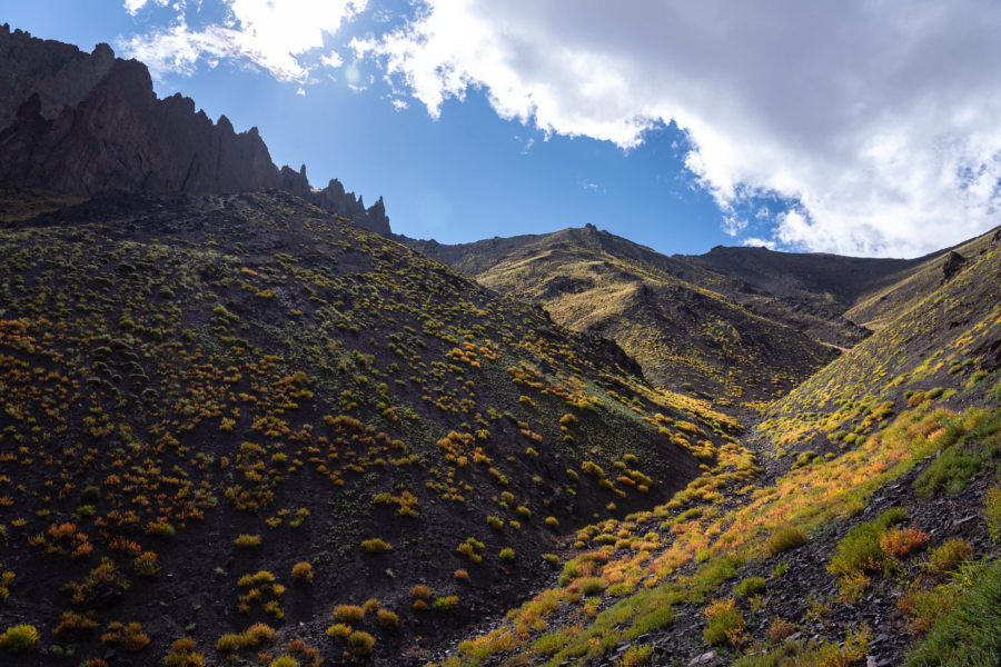 Trek vers Stok La depuis Rumbak, Ladakh