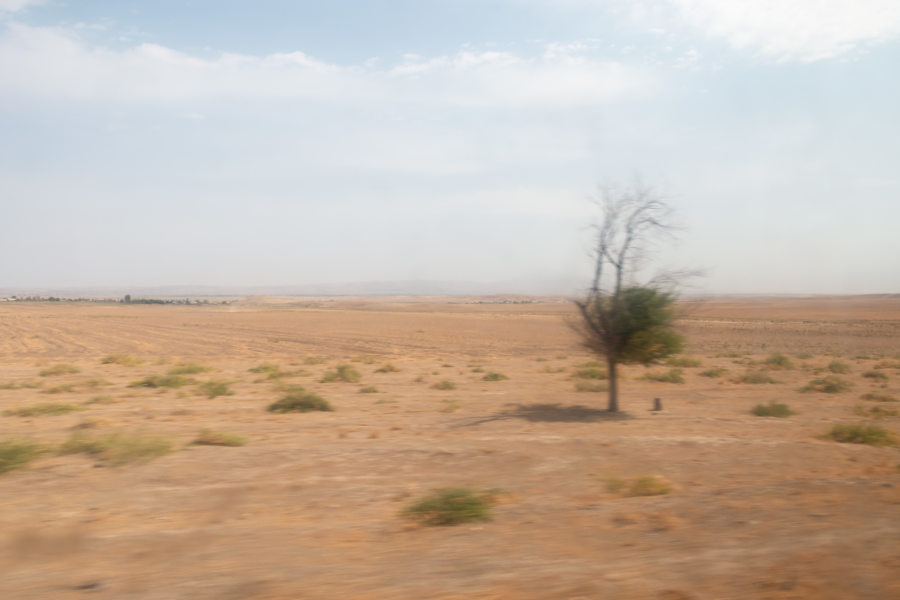 Paysage ouzbek vu du train Tachkent Samarcande