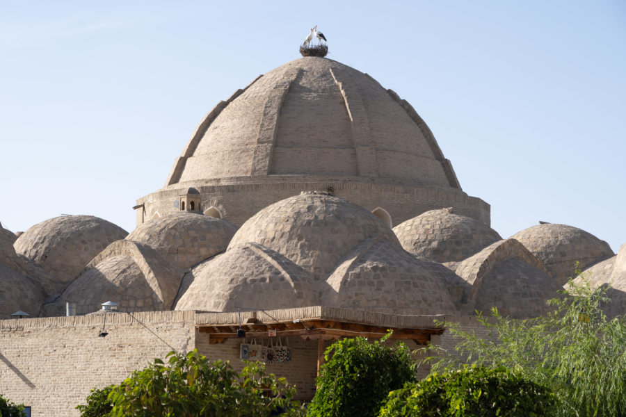 Dôme des coupoles des bijoutiers avec cigognes à Boukhara