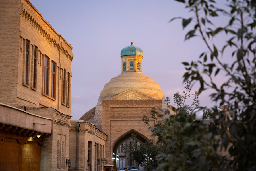 Toki Sarrofon, coupole à Boukhara, Ouzbékistan