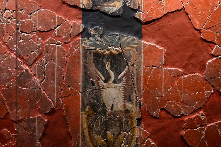 Visite du musée Casa Fortuna à Carthagène
