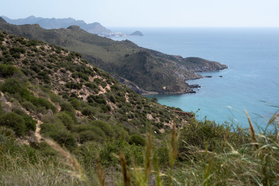 Colline Roldan, randonnée dans la Sierra de la muela au printemps