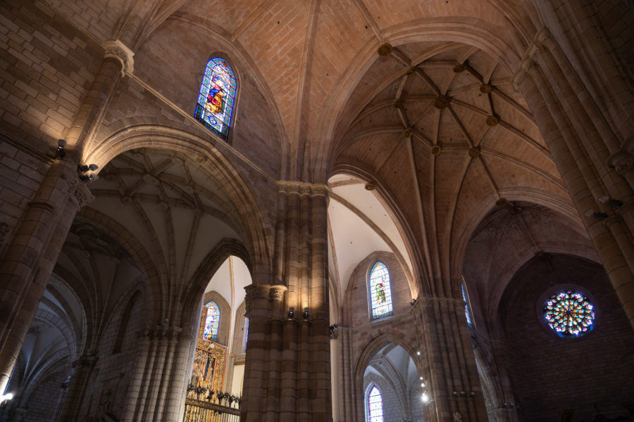 Visite de la cathédrale de Murcie en Espagne